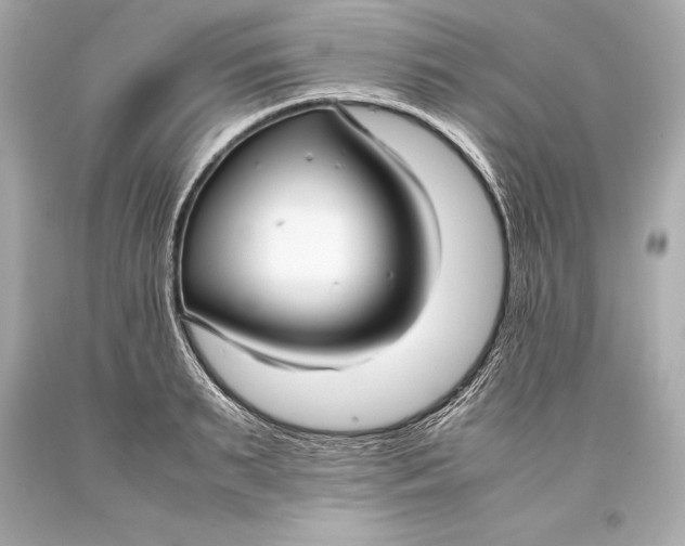 X0000093370895200711011225