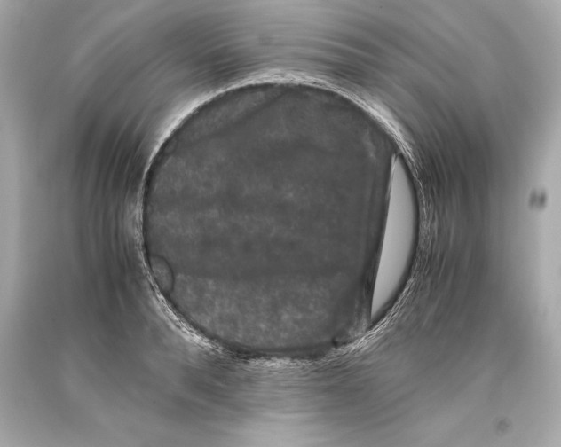 X0000093370896200711011225