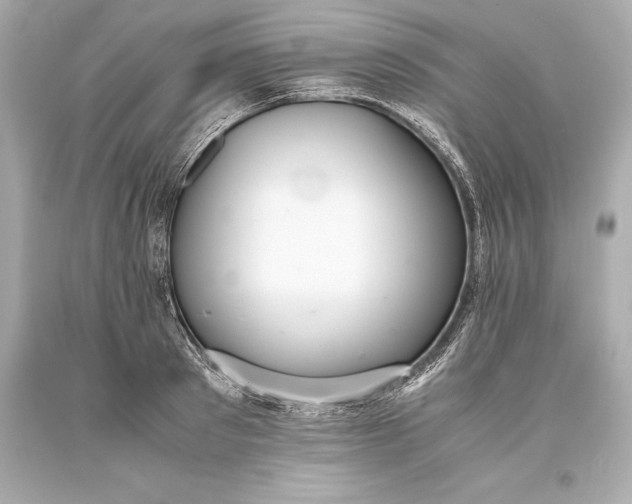 X0000093370897200711011225