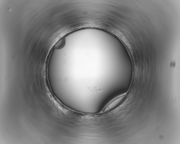 X0000093370898200711011225