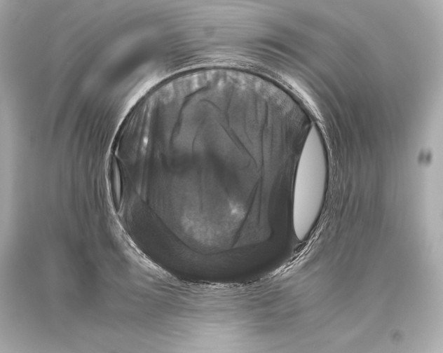 X0000093370899200711011225