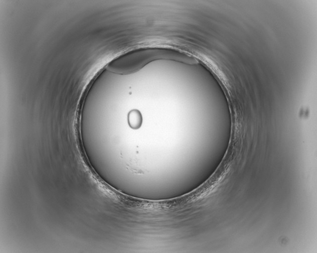 X0000093370901200711011225