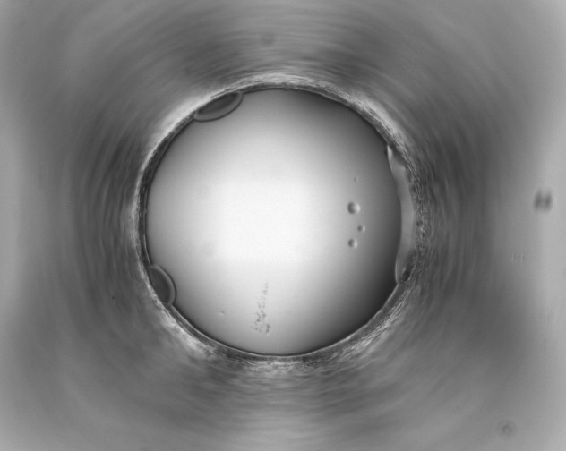 X0000093370902200711011225