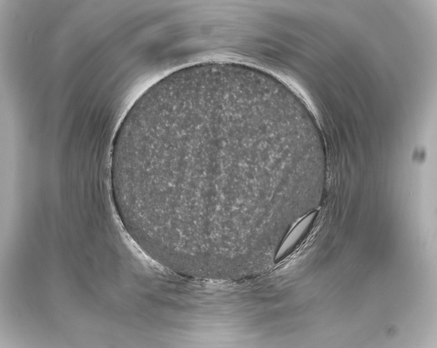 X0000093370903200711011225