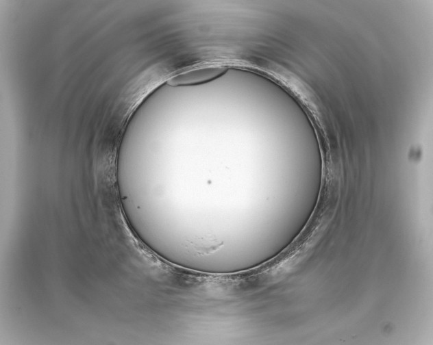 X0000093370905200711011225