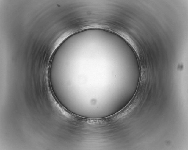 X0000093370906200711011225