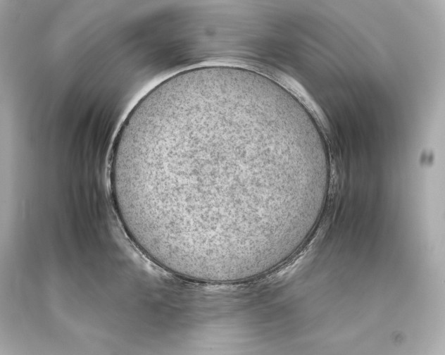 X0000093370908200711011225