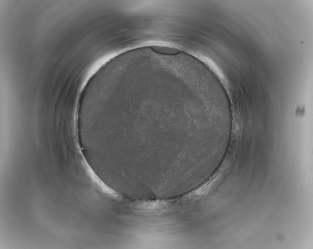 X0000093370910200711011225