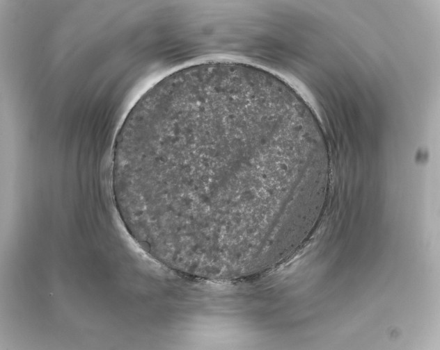 X0000093370911200711011225