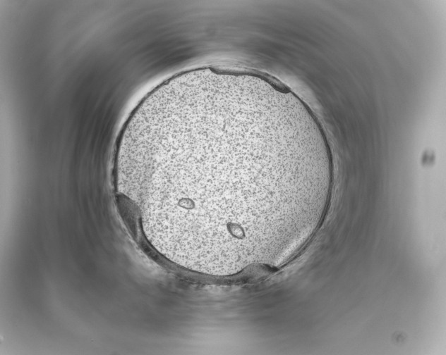 X0000093370912200711011225