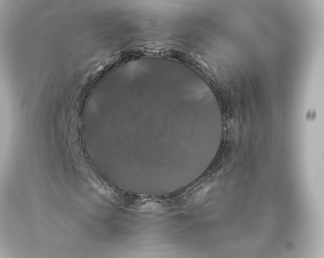 X0000093370913200711011225