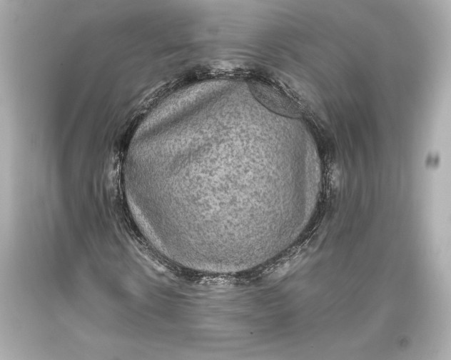 X0000093370914200711011225