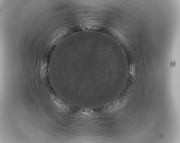 X0000093370915200711011225