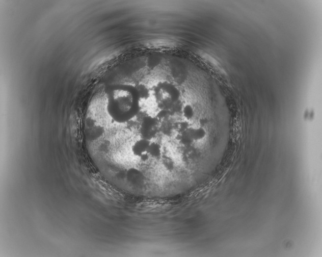 X0000093370917200711011225