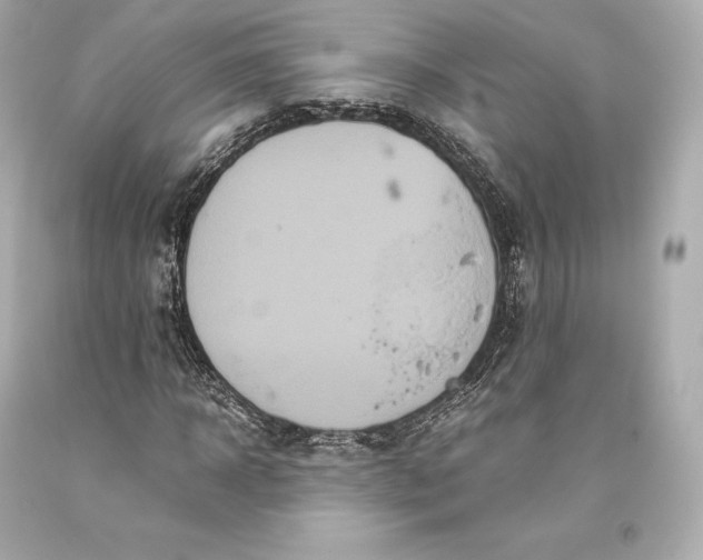 X0000093370918200711011225