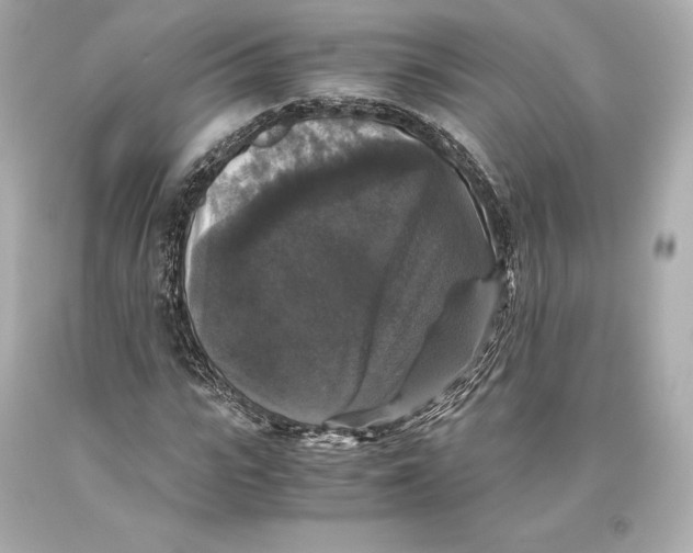 X0000093370919200711011225