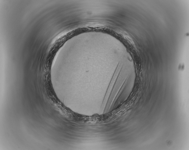 X0000093370920200711011225