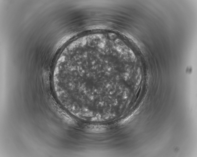 X0000093370921200711011225