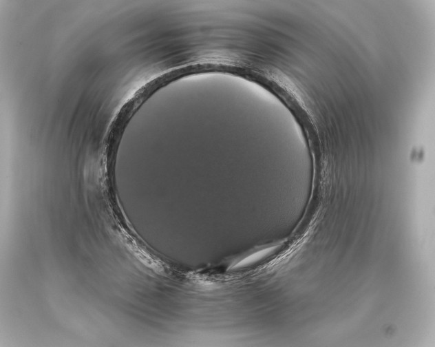 X0000093370923200711011225