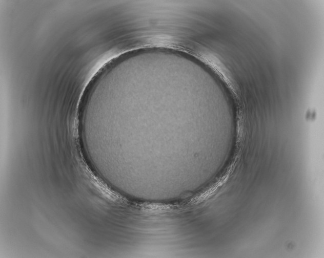 X0000093370924200711011225