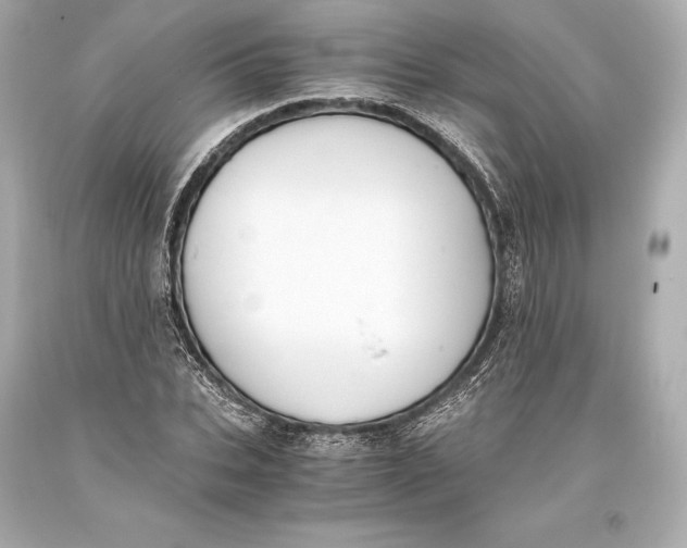 X0000093370927200711011225