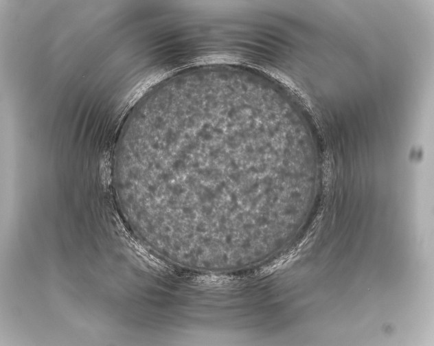 X0000093370929200711011225