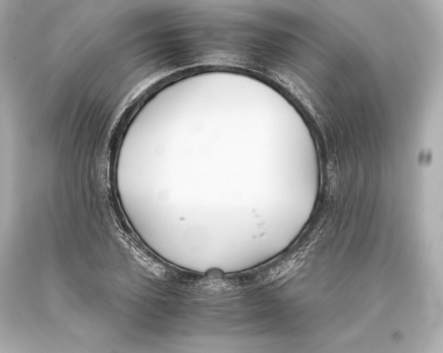 X0000093370931200711011225