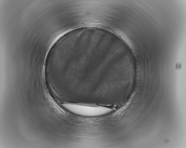 X0000093370932200711011225