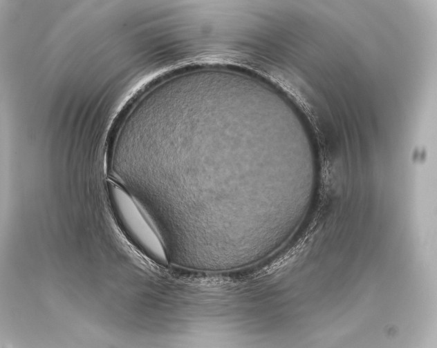 X0000093370934200711011225