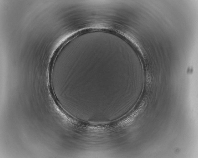 X0000093370935200711011225