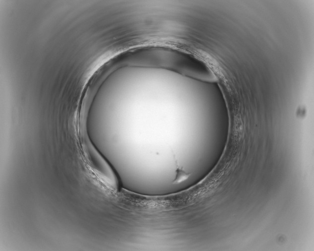 X0000093370936200711011225