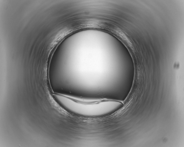 X0000093370938200711011225