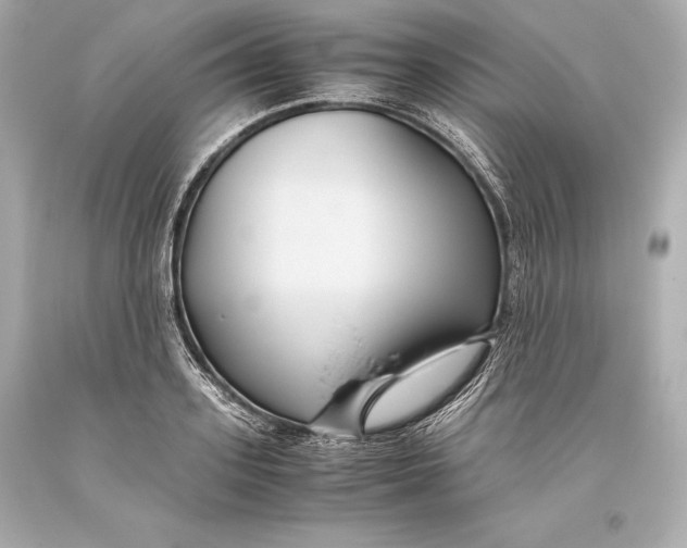 X0000093370939200711011225