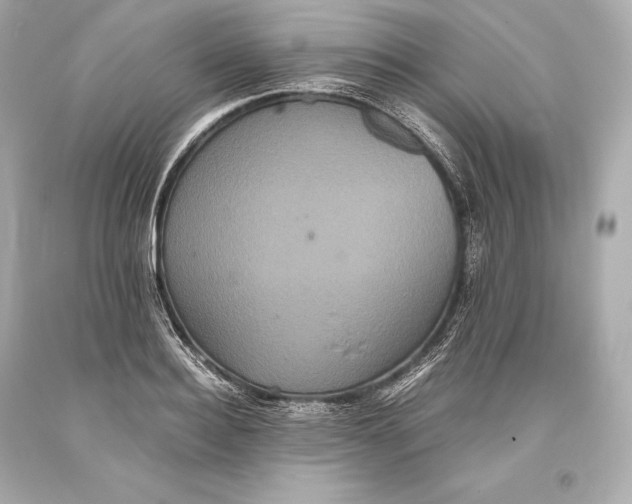 X0000093370940200711011225