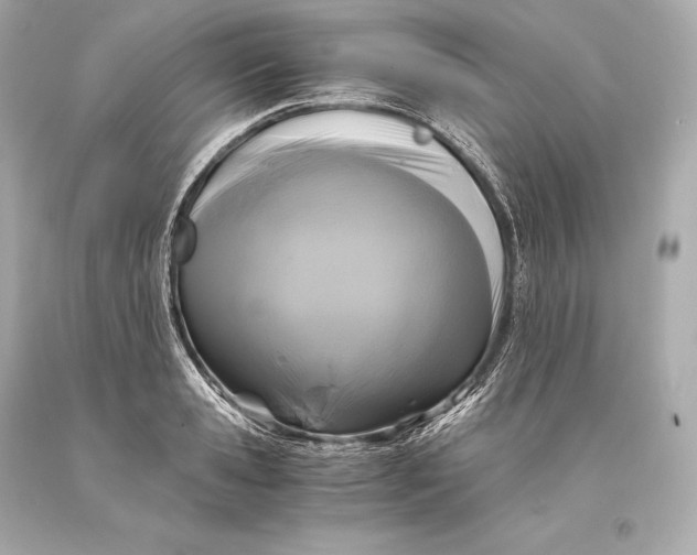 X0000093370941200711011225