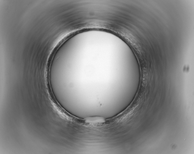 X0000093370942200711011225