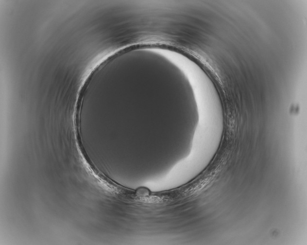 X0000093370943200711011225