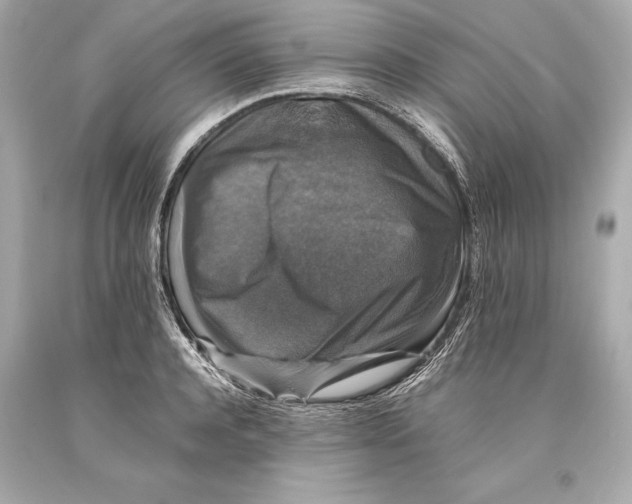 X0000093370944200711011225