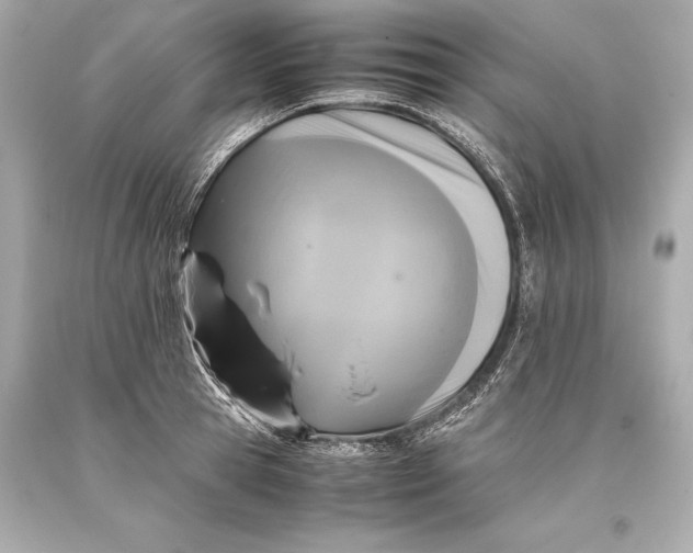 X0000093370945200711011225