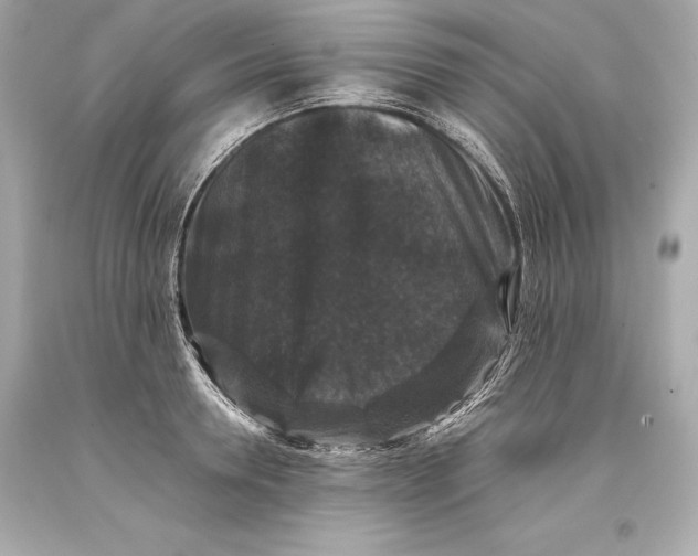 X0000093370946200711011225