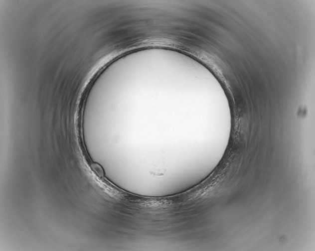 X0000093370947200711011225