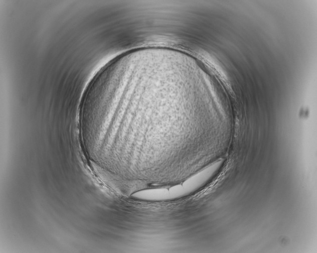 X0000093370948200711011225