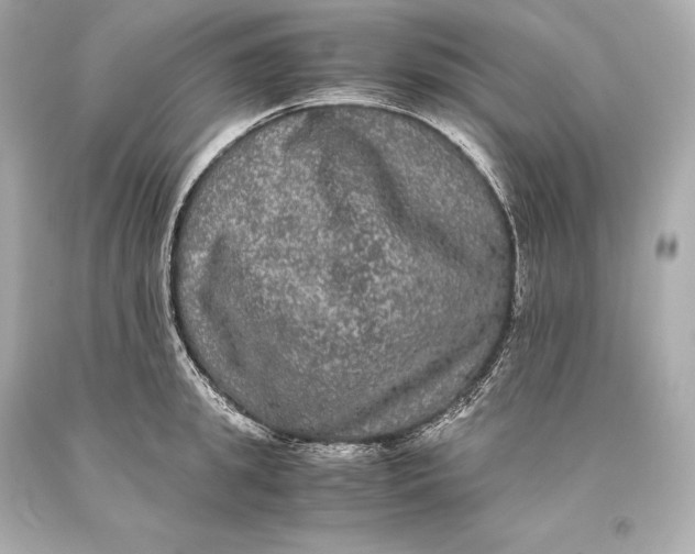 X0000093370949200711011225