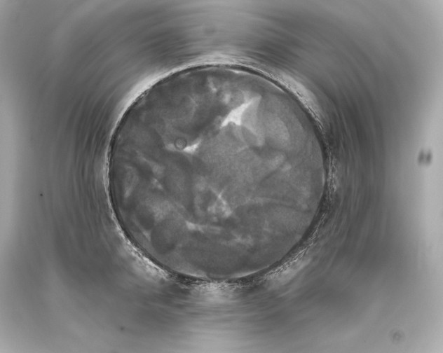 X0000093370950200711011225