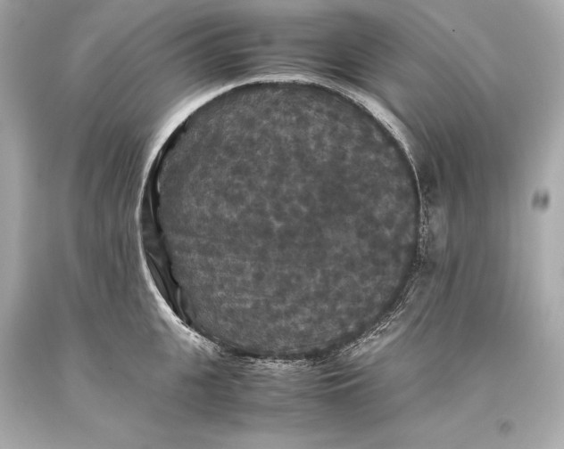 X0000093370951200711011225