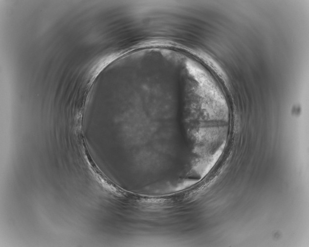 X0000093370953200711011225