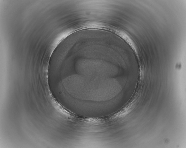 X0000093370954200711011225