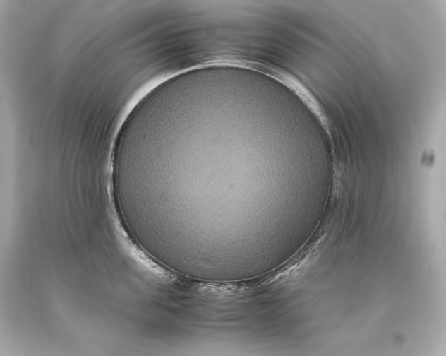 X0000093370955200711011225