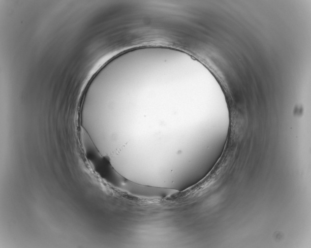 X0000093370956200711011225