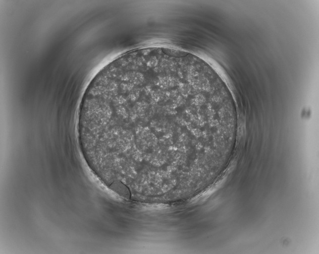 X0000093370957200711011225